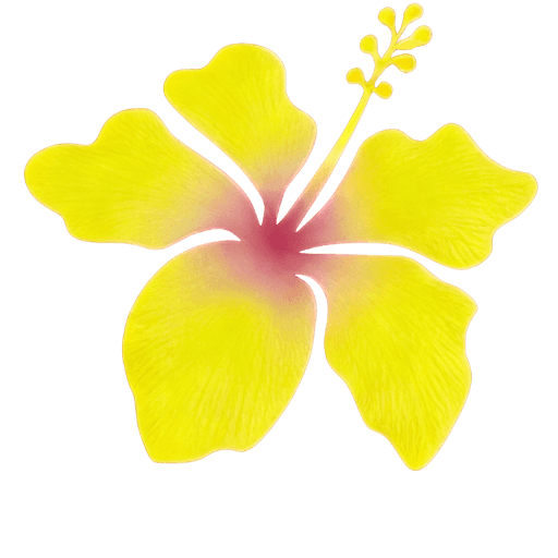Zara-Larsson-Merch-Icon.png